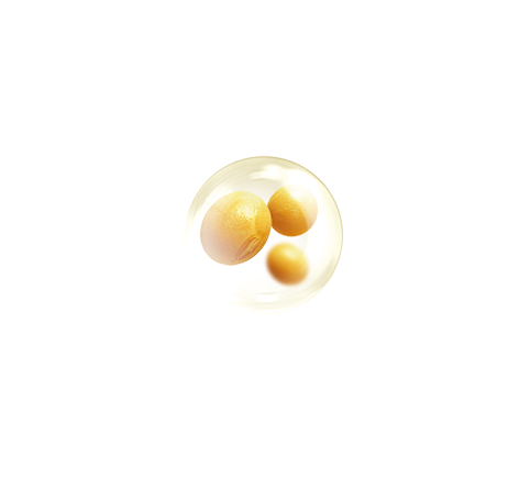 大豆