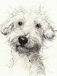 x心语采集到手绘插画