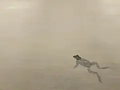 豆瓣