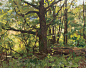 Plein Air Paintings - Volume 20