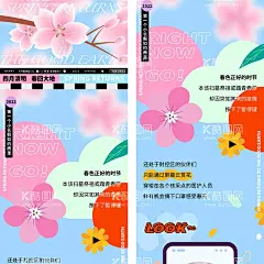 花卉公众号长图海报   - 源文件下载【酷图网】春日,公众号海报,春日促销海报,商场海报,满减海报,弥散渐变海报,活动公众号,花卉公众号,