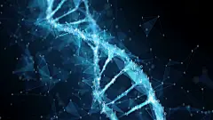 “DNA testing”的图片搜索结果