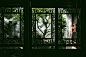 苏州园林 | 琴堂窗户清无暑，园林花窗合集。