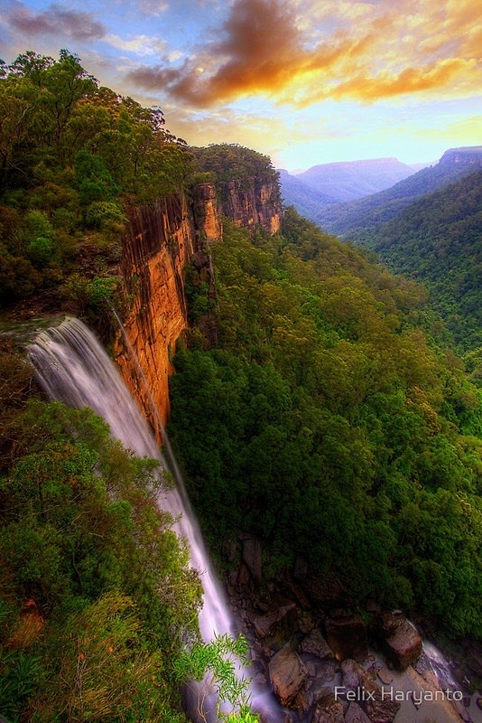 Lovely Fitzroy Falls...