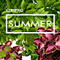 S024丨3D夏季绿色植物叶片藤蔓图片墙贴海报PS设计素材PNG免抠-淘宝网