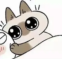 暹罗猫小豆泥表情包_看图_动漫表情包吧_百度贴吧