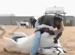 GIF搞笑趣图：哥们，你这待遇挺高啊！很...