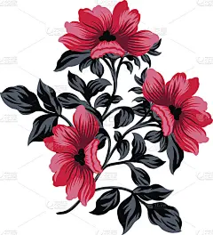 甜蜜的玫瑰。
