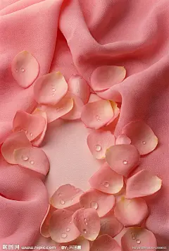 花瓣底图大图 点击http://huaban.com/pins/43701301/#还原