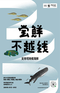 秦皇岛的海采集到系列稿地产