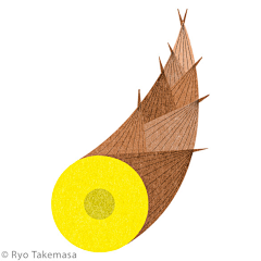 saba采集到日本插画师 武政諒