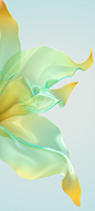 This contains an image of: Honor 70 Stock Wallpapers