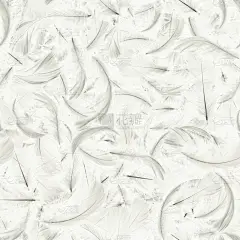 羽毛无缝图案背景.自然鸟类羽毛纹理特写落在白色的无缝图案壁纸。摘要。浅蓝色趋势和复古风格.