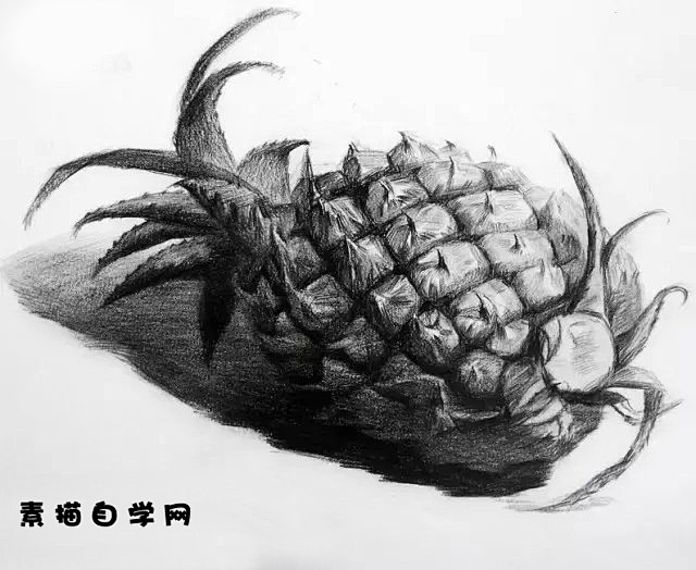 菠萝素描画头像素描手绘水果菠萝壁纸