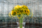 Photograph Sunflowers in the round by Stephen D&#x;27Agostino on 500px
CameraNIKON D4
Focal Length38mm
Shutter Speed1/160 secs
Aperturef/6.3
ISO/Film100