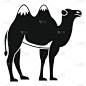 骆驼,简单,计算机图标,阿拉伯联合酋长国,自然,热,非洲,图像,哺乳纲,动物