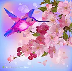 蜂鸟桃花插画矢量素材