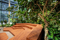 奥利维亚花园，异国情调的办公花园 / Malinowski Design Urban & Landscape – mooool木藕设计网