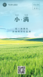 小满节气祝福问候实景手机海报