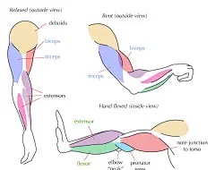 我的首页 微博-随时随地发现新鲜事