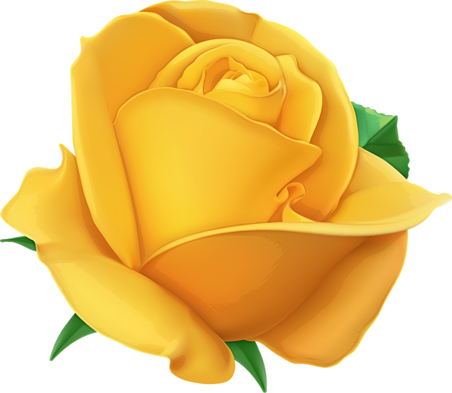 黄玫瑰png