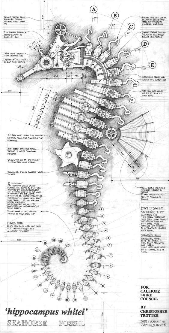 SeaHorse Fossil Ed. ...