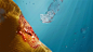 Human Nature vs Nature Nature :: Behance