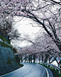 日本摄影师Takashi Yasui捕捉到许多日本街道的美景