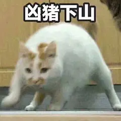 “哼哼哼？哼哼的哼哼呢？哼！”    #表情包#