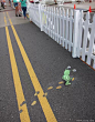 David Zinn 有趣的街头涂鸦 