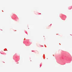 粉色唯美手绘落花设计元素