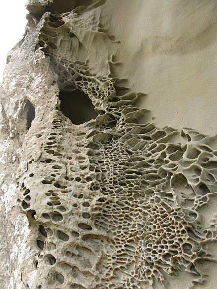 科普一种形象特殊的岩石蜂窝岩honeycombrock表面分布海浪或风沙风化