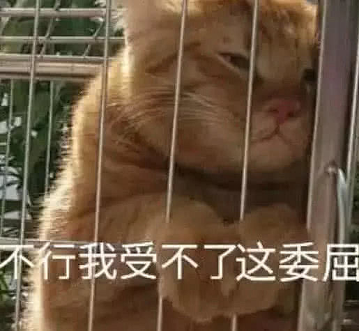 来自分享