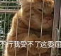来自分享