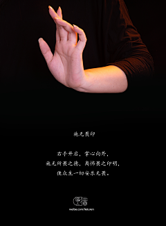 痣勇双全采集到手部
