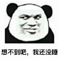 #熊猫头#想不到吧，我还没睡