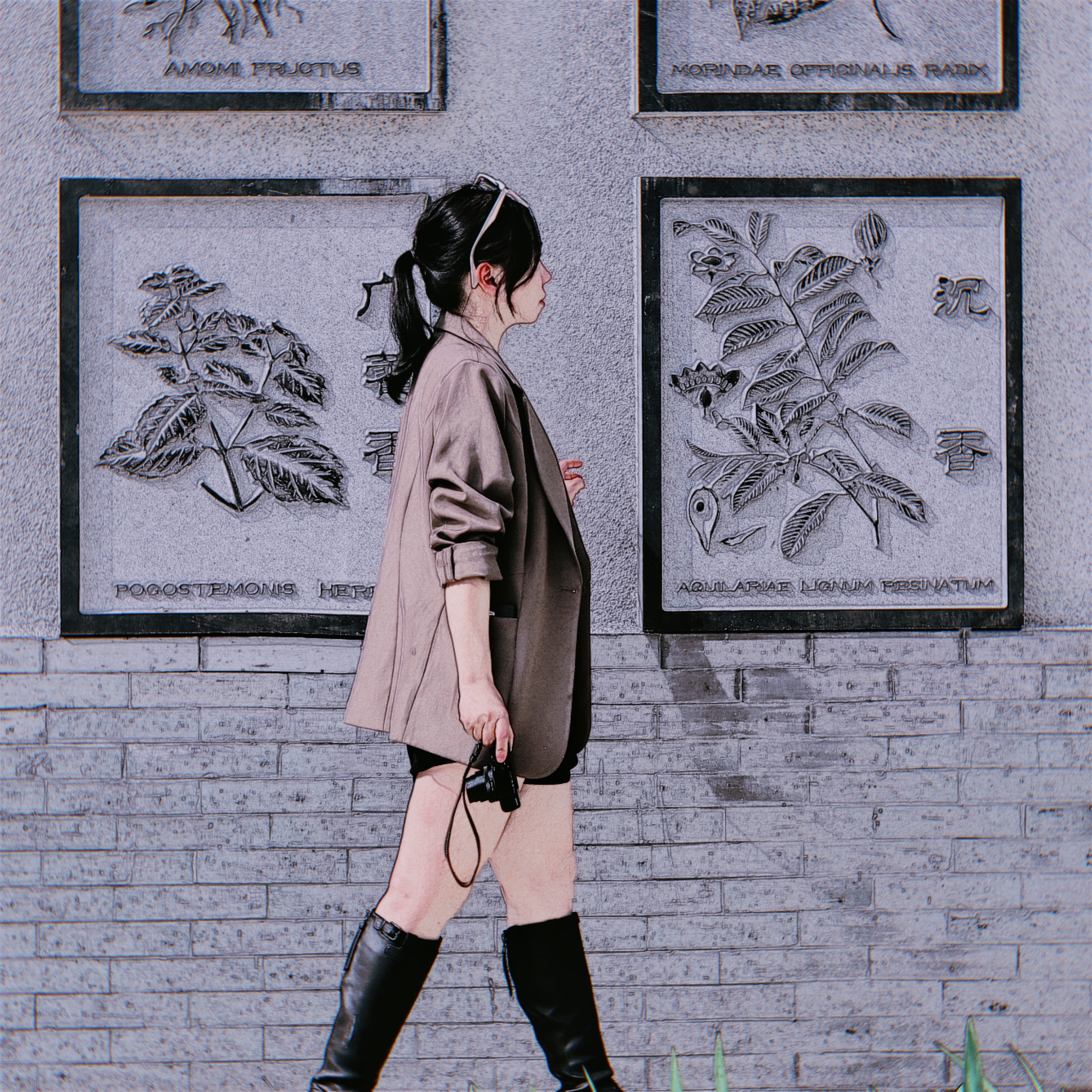 刺猬BB