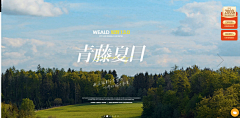 star-8采集到banner