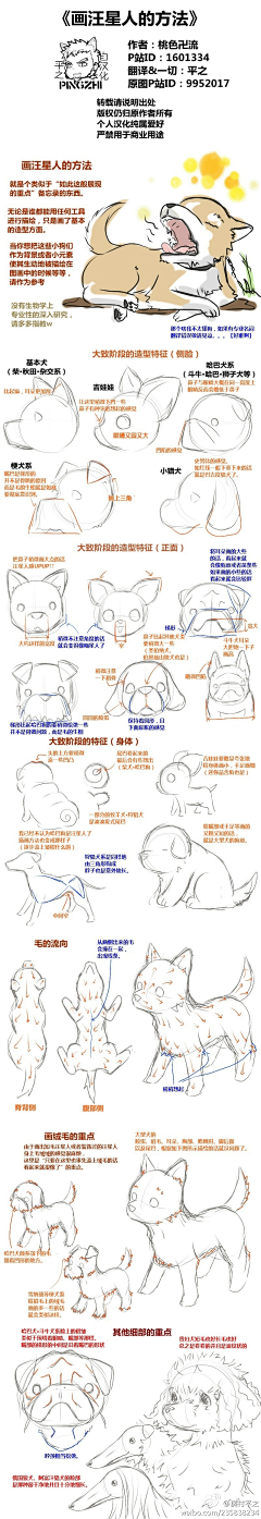 咩咩不吃草采集到【细节】教程
