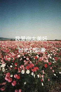 原创自制壁纸-平铺壁纸-文字壁纸-萌壁纸-锁屏壁纸-英文壁纸-字母壁纸-星空壁纸-星座壁纸-励志壁纸-iPhone壁纸-手机壁纸-电脑壁纸-心情文字-语录-长句-短句-歌词-文字控-美文美图-✿
