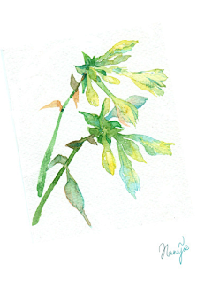 牧柒柒采集到花浮