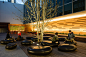 888 Brannan by MSLA « Landscape Architecture Platform | Landezine
