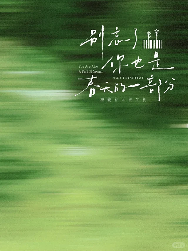 王丫丫Miraitowa - 小红书