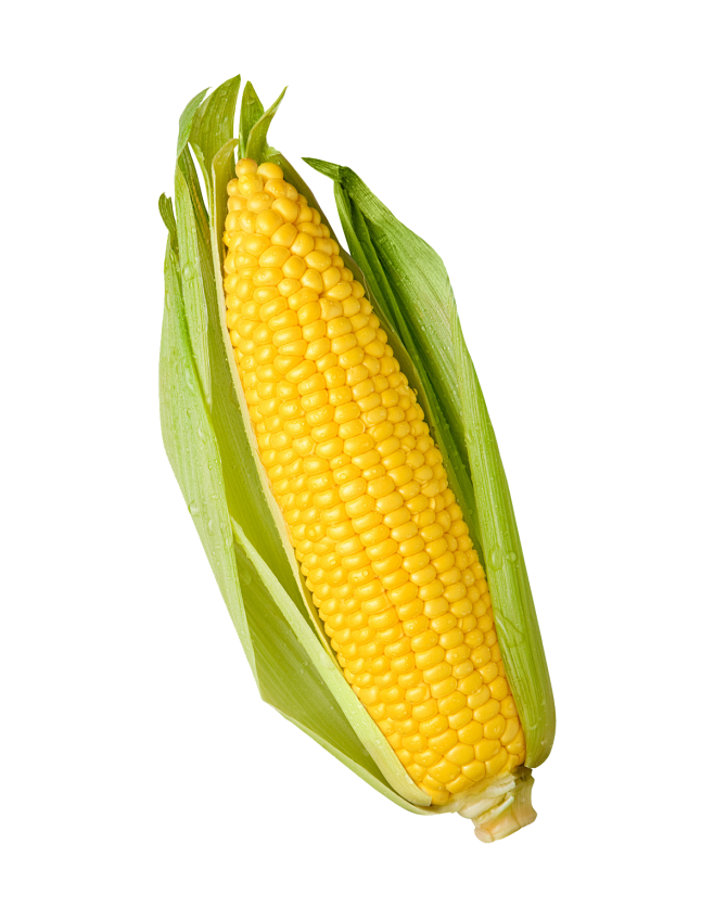 玉米