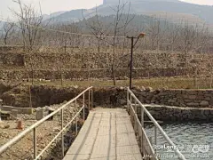 泰山