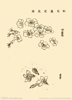 光Orion采集到芥子园画谱