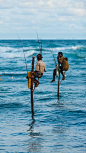斯里兰卡高跷钓鱼