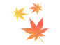 紅葉の葉の水彩画の透過PNGイラスト