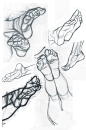 Anatomy of the Human Foot