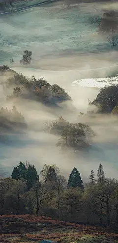 小清新壁纸